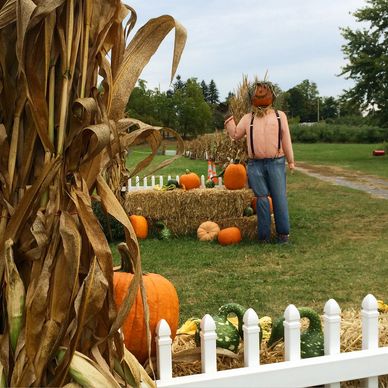 Prospect Hill Orchards