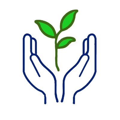 Two hands gently cupping a green sprouting plant.
