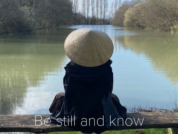 Detail from the cover of the Thich Nhat Hanh Foundation annual report