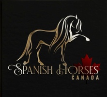 Spanish Horses Canada