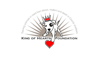King of Hearts ❤️ Foundation 