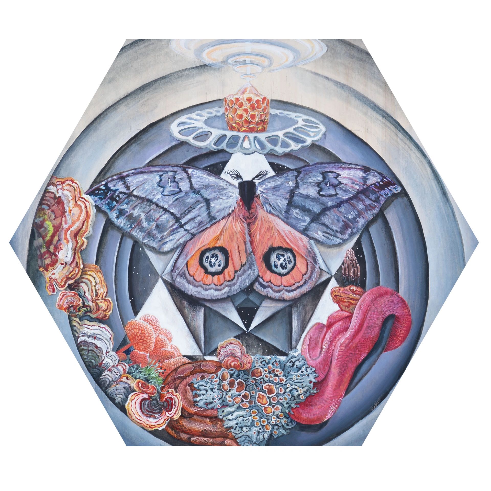Psychedelic moth, snake and fungi nature scene with geometry