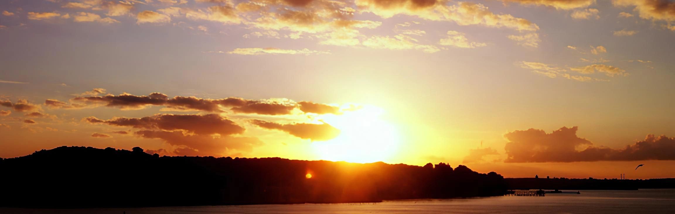 Sunset Palliative Care Inc. logo