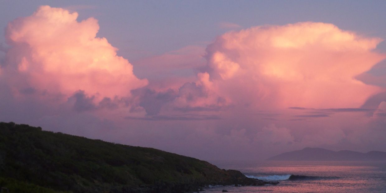 Image of pink clouds over a morning coastline by Catherine Bonney