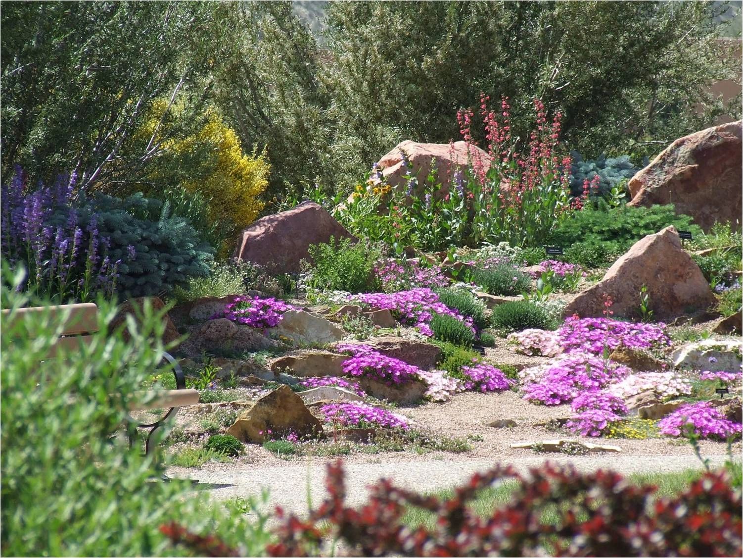 Example of a xeric garden.
