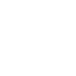 Two Guys Property Services Ltd.