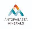 Logo of Antofagasta Minerals with a stylized 'A' design.
