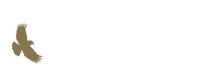 CORONET INVESTMENTS