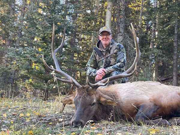 Hunter posing with a large elk in the forest.