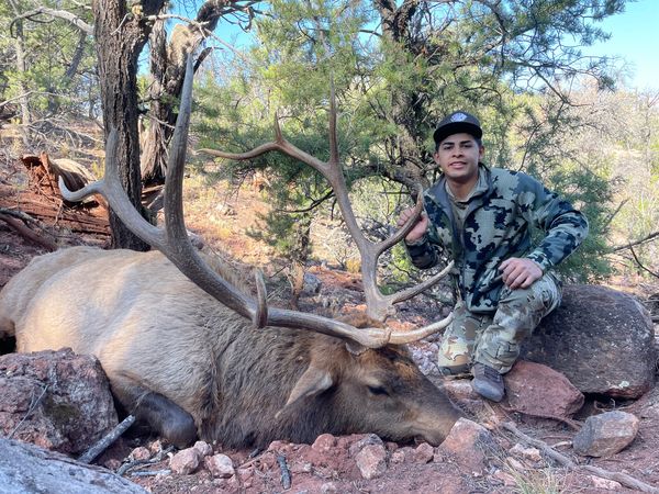 Hunter posing with a large elk in a forested area.