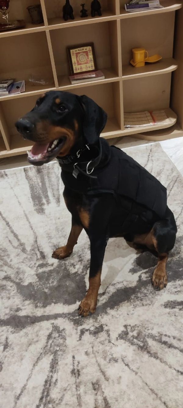 Weight vest