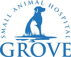 Grove Small Animal Hospital
