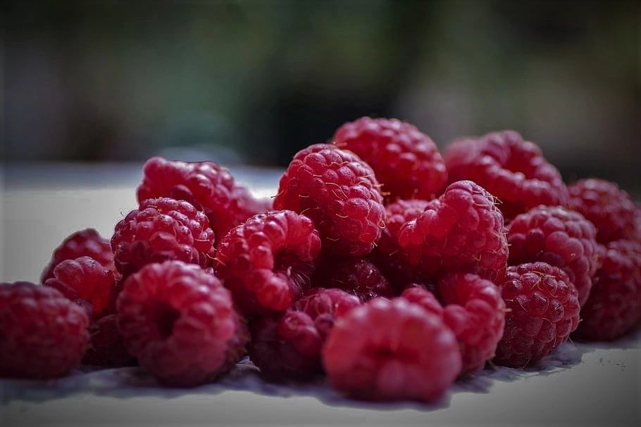 Fruitessence Australian Freeze Dried Fruit Berries Native Food