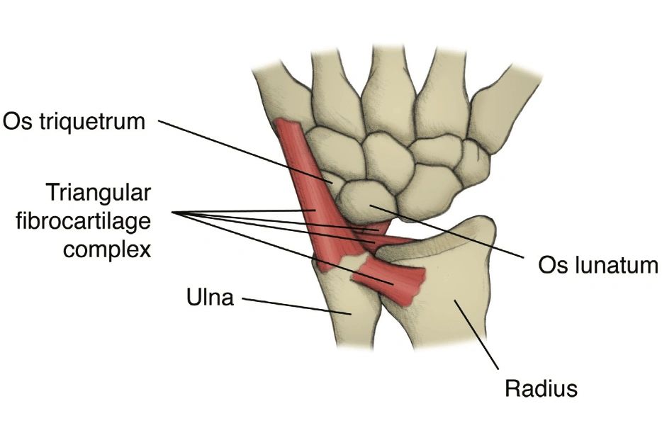 styloid process of radius pain