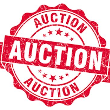 Charity Auctions