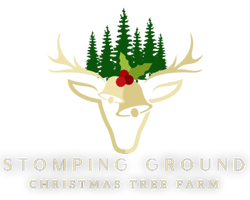 Stomping Ground Christmas Tree Farm