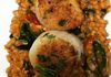 Seared Scallops over Roasted Tomato Farro Risotto