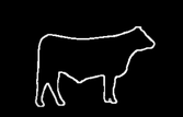 Wapiti Valley Natural Beef Co                     Red Deer, AB