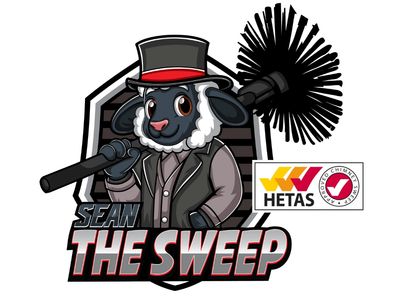 Sean the sweep chimney sweep in greasby 