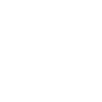 Salmon City