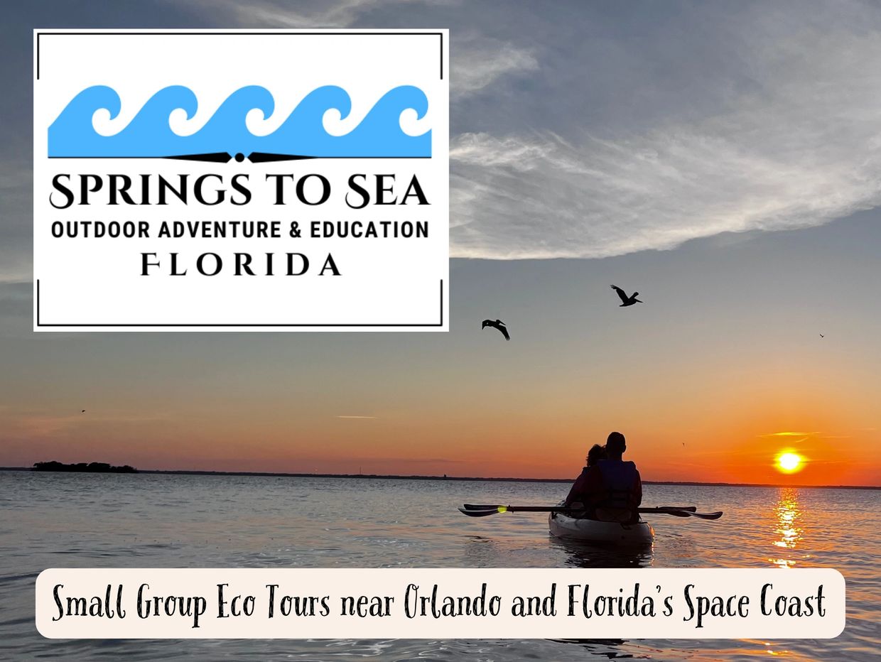 florida eco tours