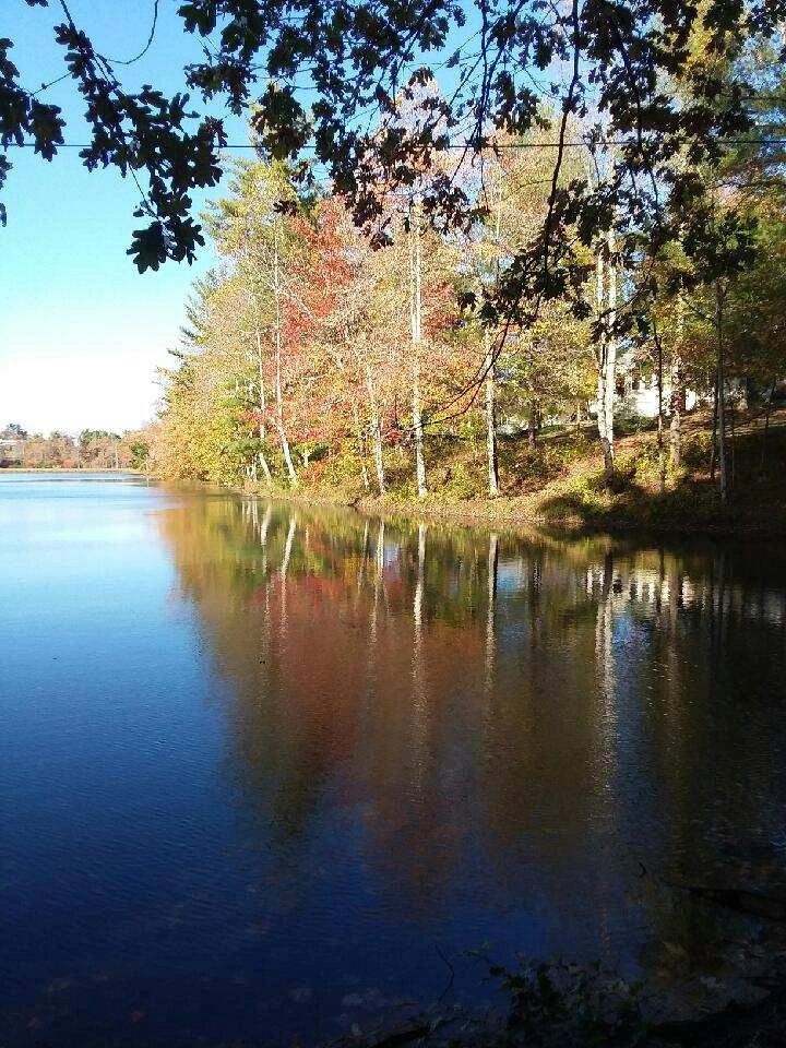 the town of pleasant hill tennessee