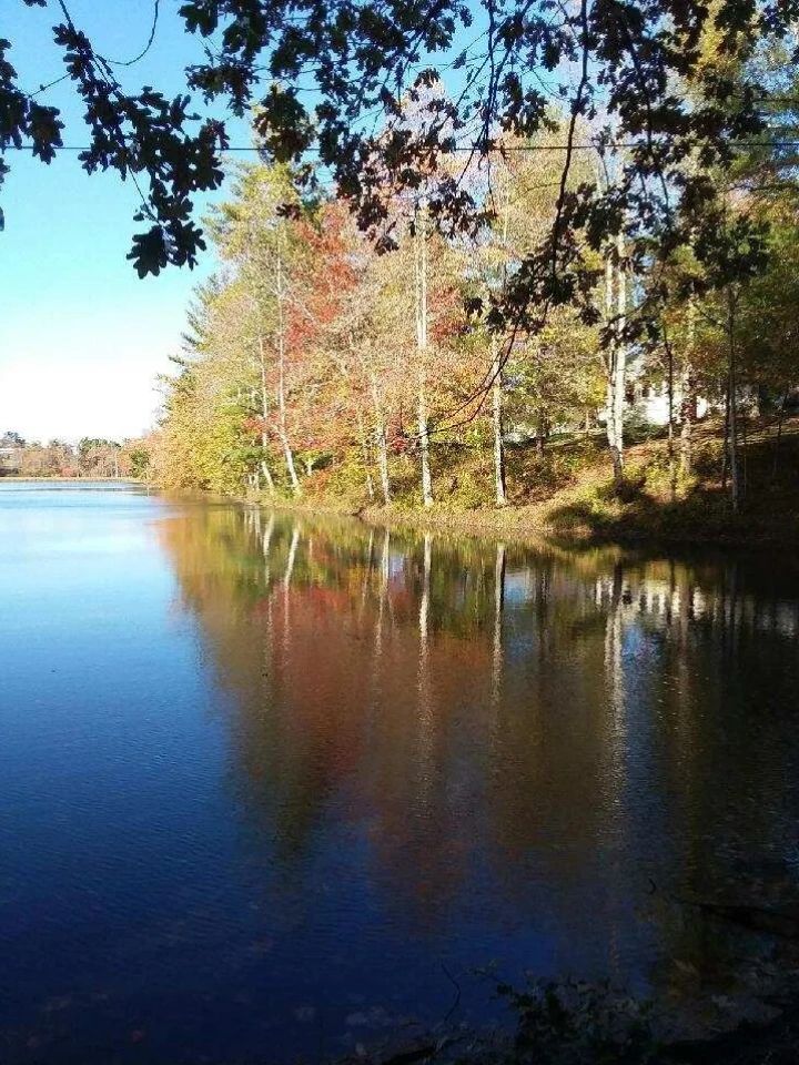 The Town of Pleasant Hill, Tennessee