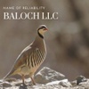 BALOCH LLC