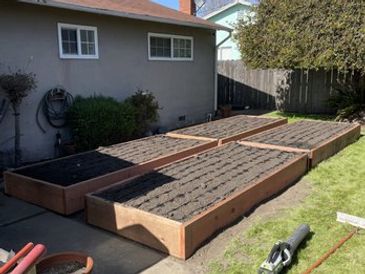 garden beds with irrigation 