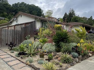 Drought tolerant garden 