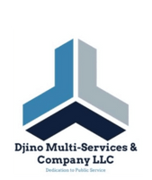 Djino Multi-Services & Company LLC