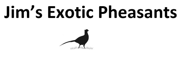 Jim's Exotic Pheasants