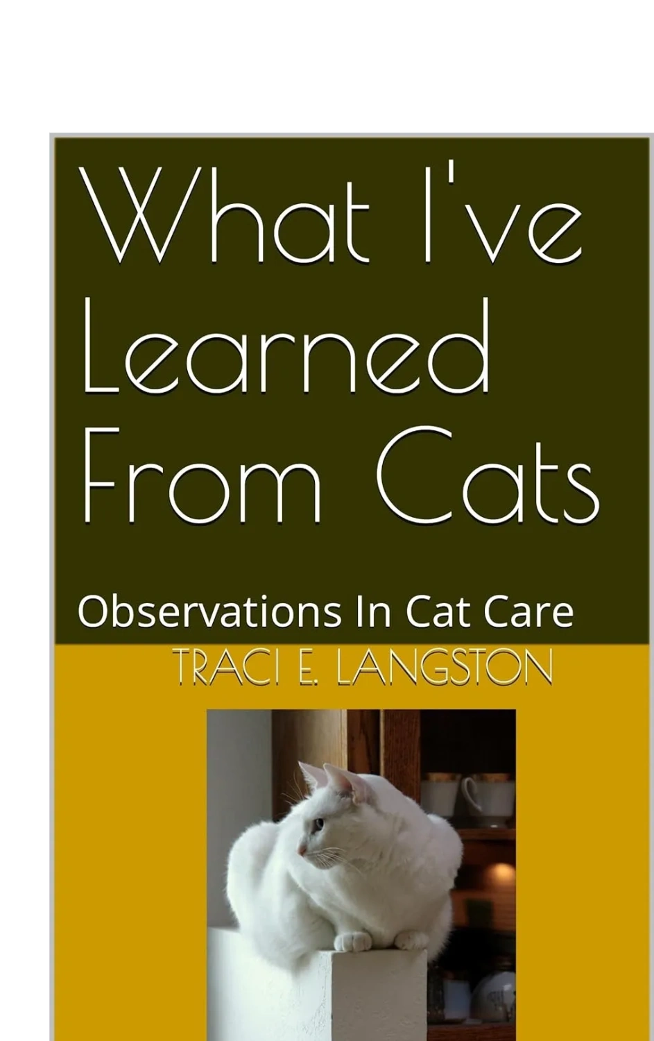 What I've Learned From Cats