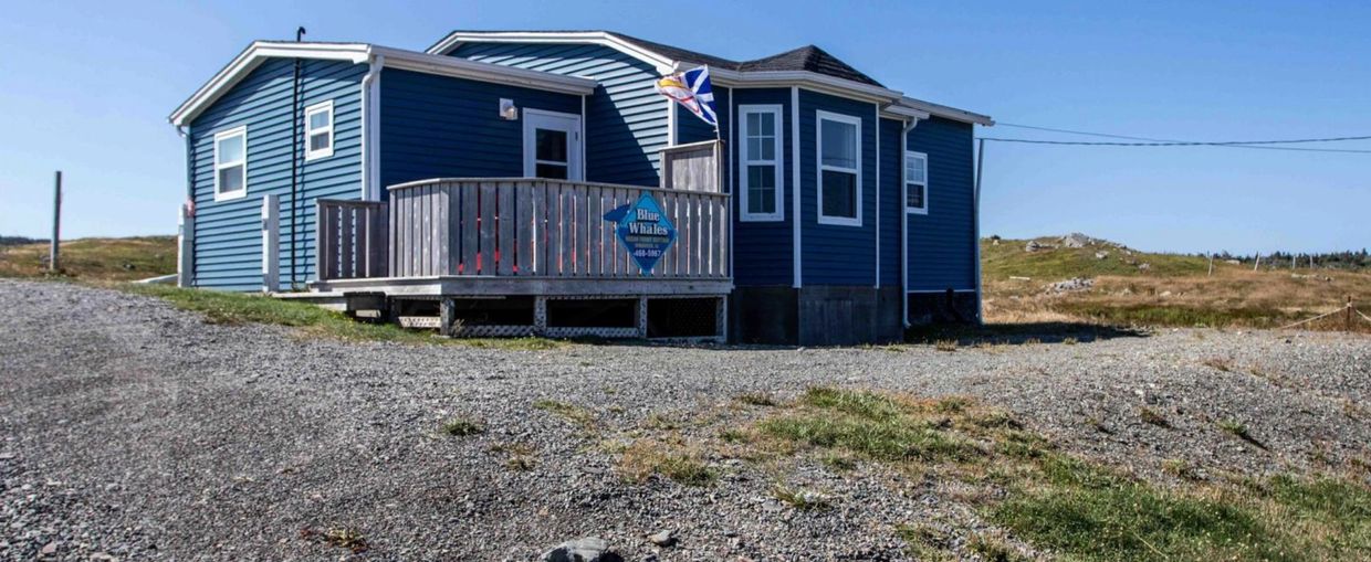 Blue Whales Oceanfront Cottage