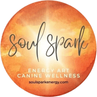 Soul Spark Energy Wellness & Light Language