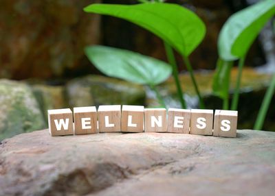 Wooden blocks spelling 'WELLNESS' on a rock with green leaves in the background.