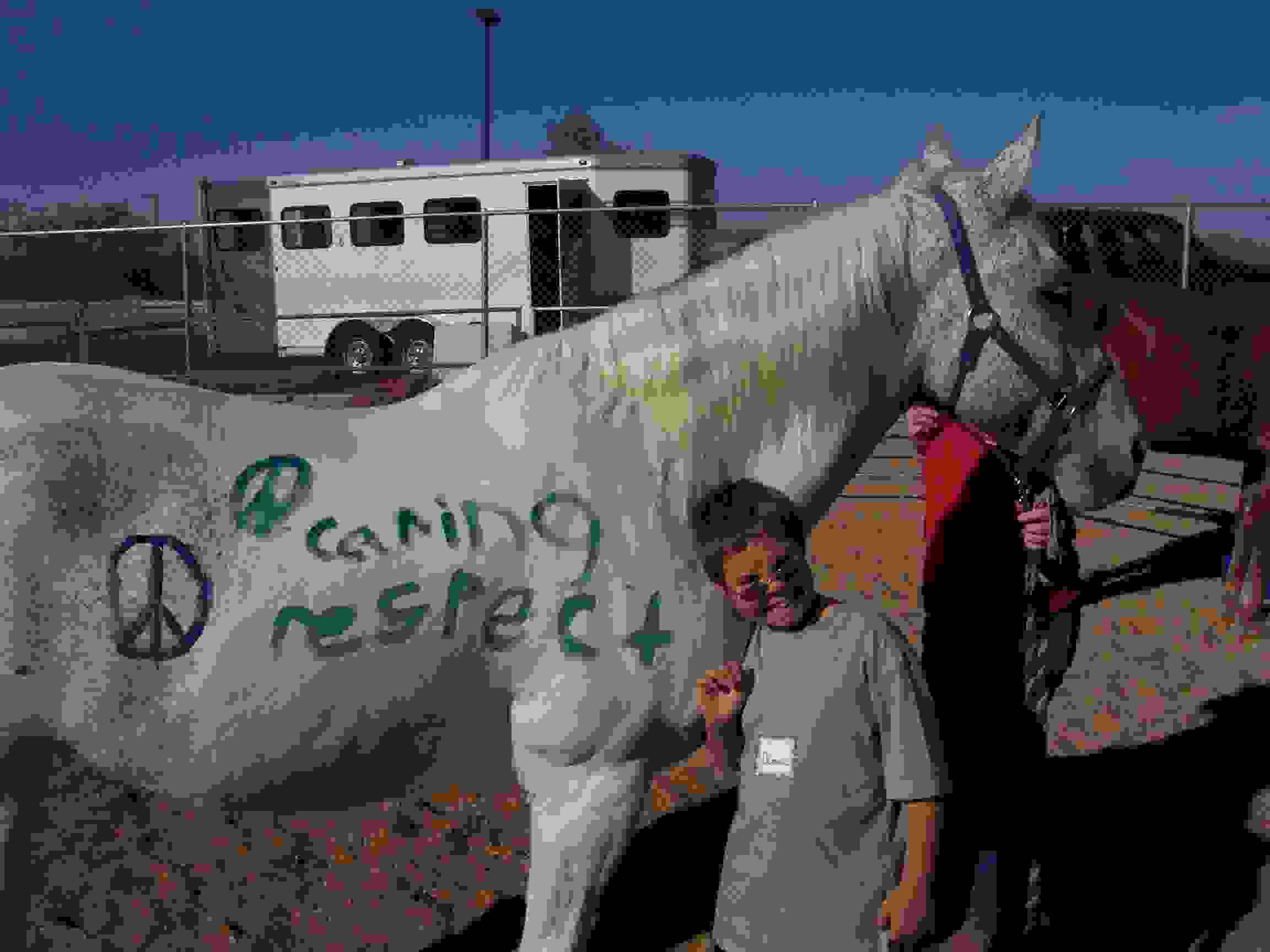 Arizona Equine Rescue Org, Inc. Arizona Equine Rescue Org, Inc.