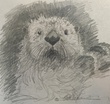 Rob Anderson Art
