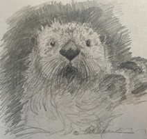 Rob Anderson Art