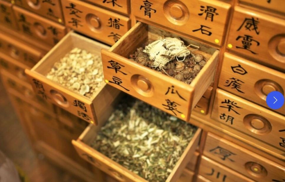 Healing Tree Acupuncture & Wellness Center