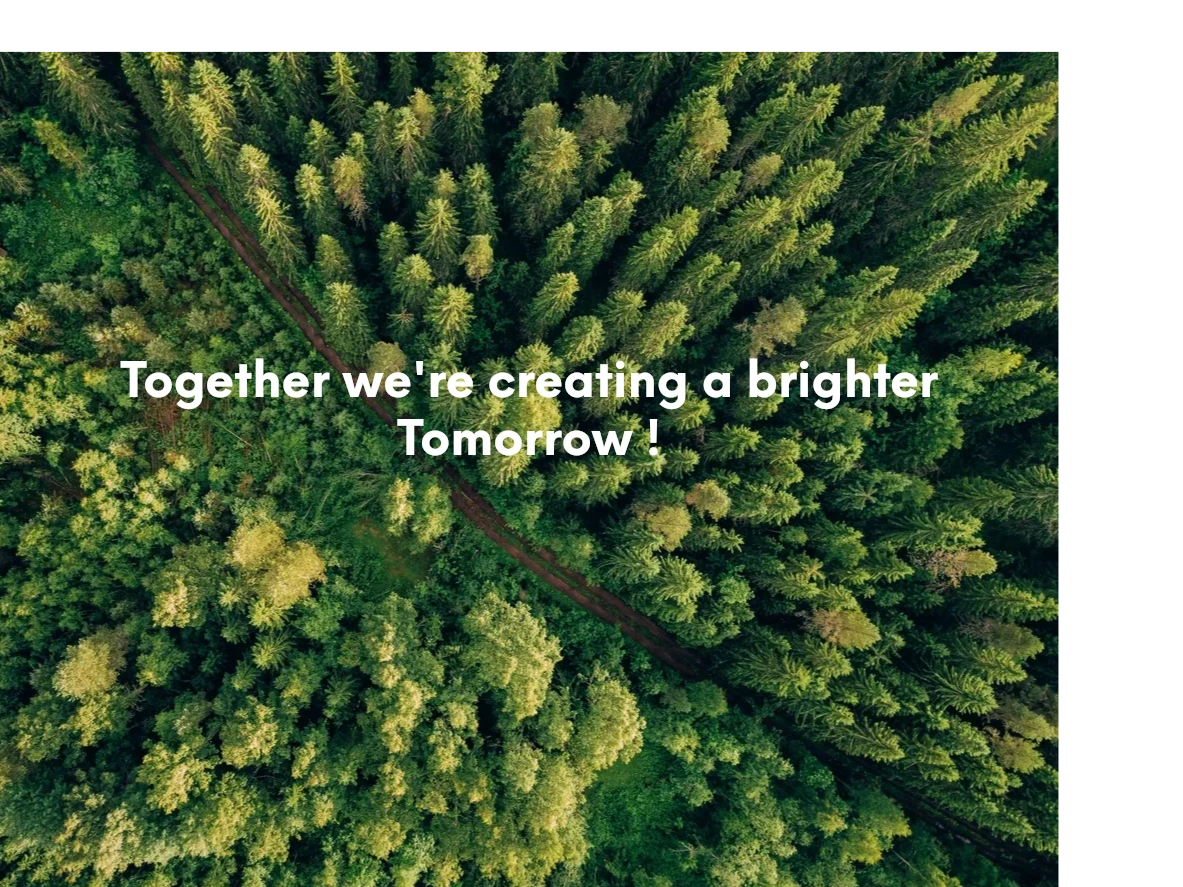 Healing Tree Acupuncture & Wellness Center - Image 5