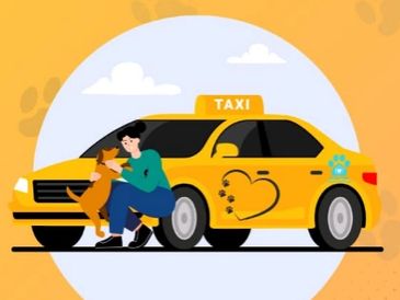 Pet Taxi Service