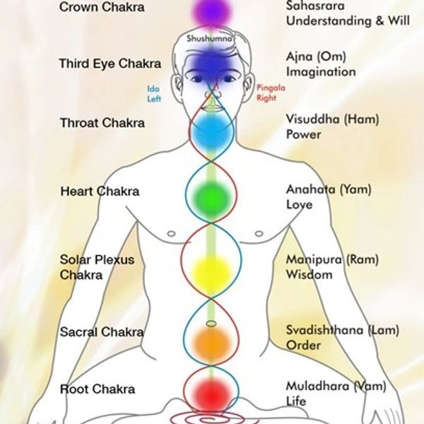 Visual description of the chakras.