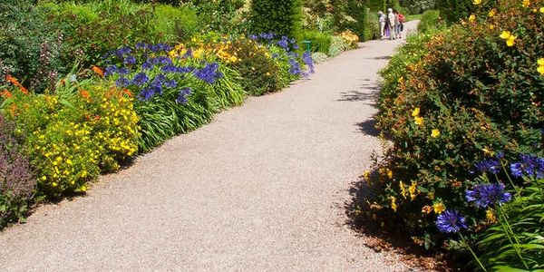 decorative crushed clam shells for landscaping