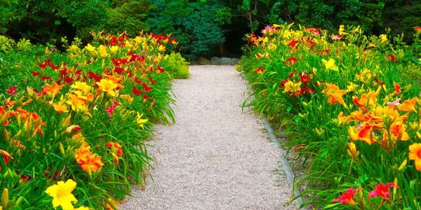 crushed clam shells for flowerbeds