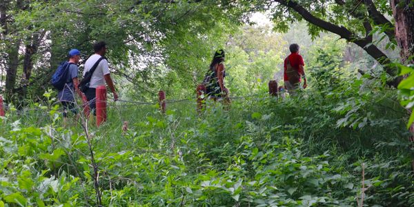 Energize and exercise, connect to nature in the outdoors and wilderness with our group hikes. 