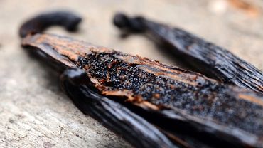 Showing Vanilla sticks flat on table cut open