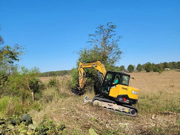 Tree Removal