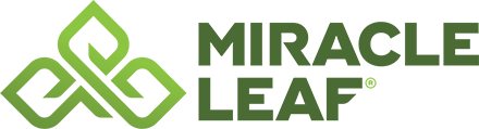 Miracle Leaf