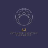 A3